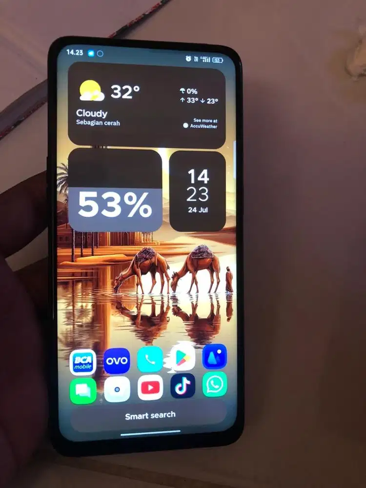 Oppo reno 10x zoom