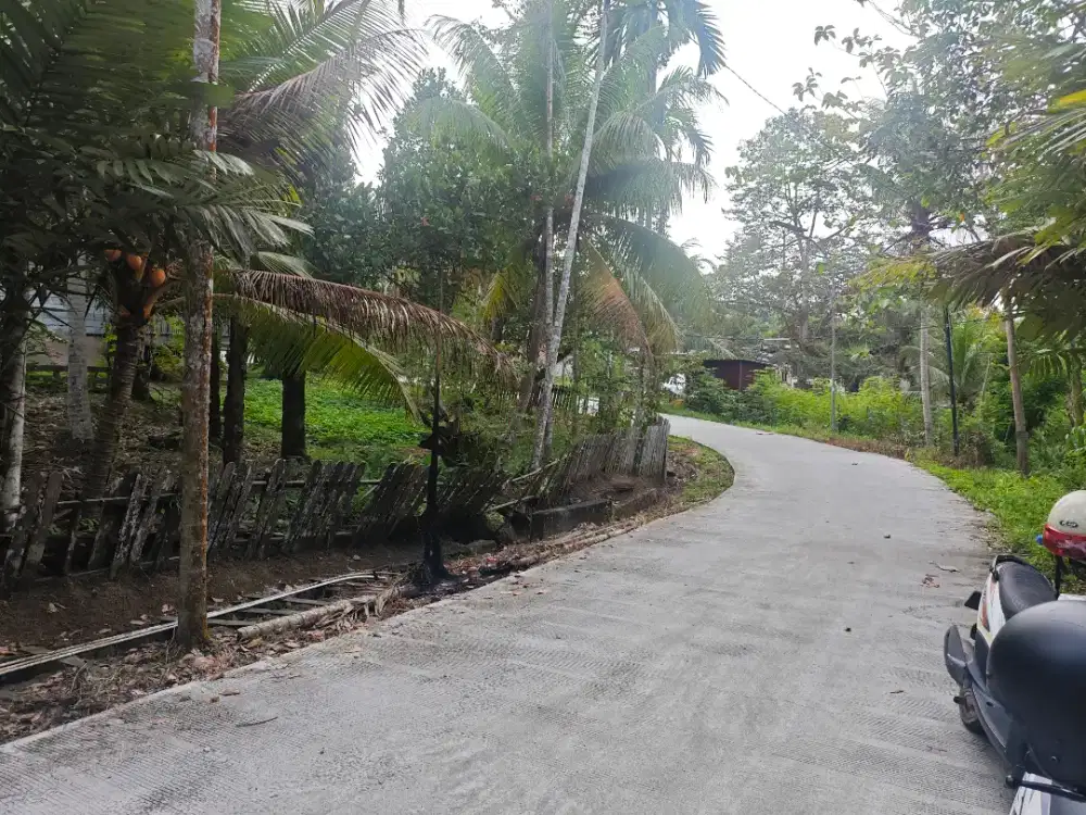 DIJUAL TANAH KARIANGAU 2500m