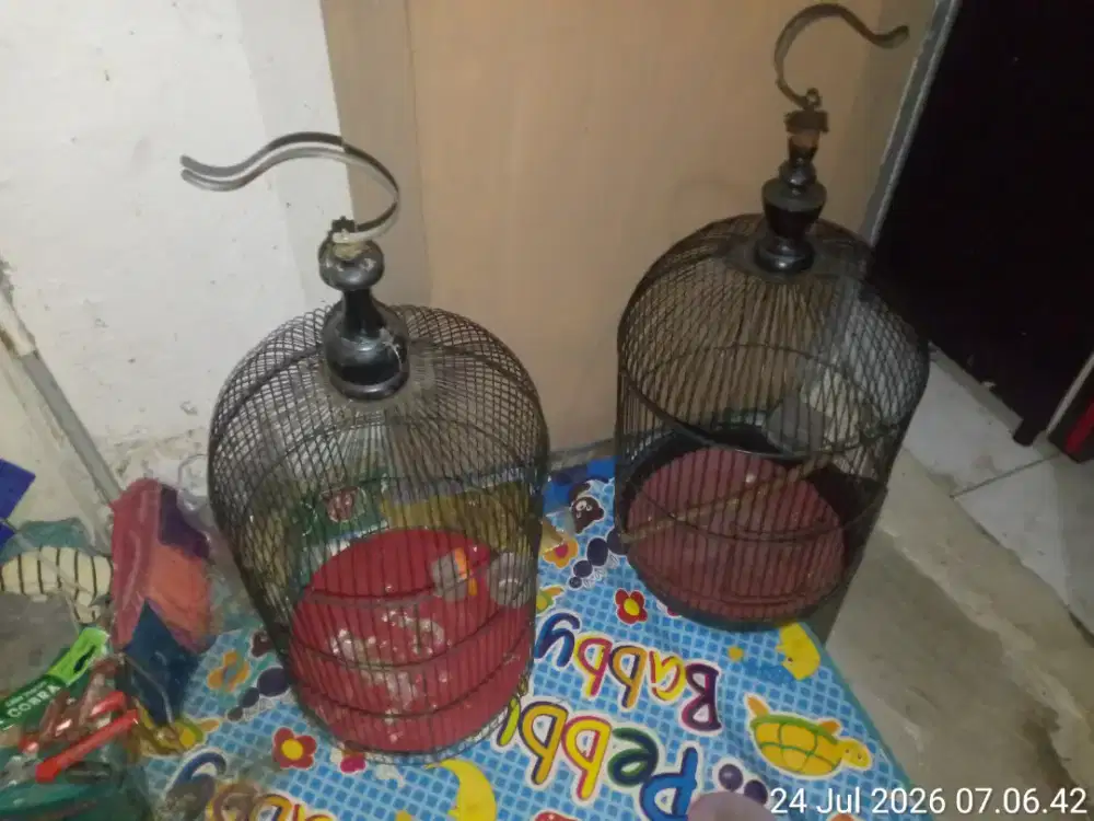 kandang besi lovebird