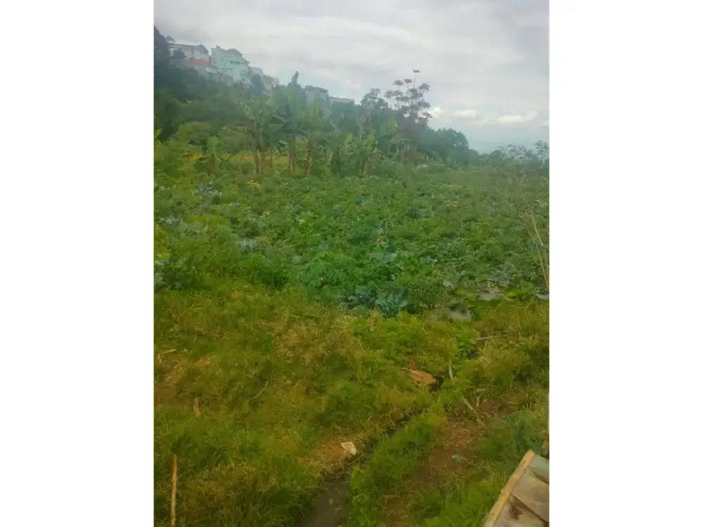 Jual Tanah Lembang Balong 14.670 m² SHM Cocok Investasi dan Villa