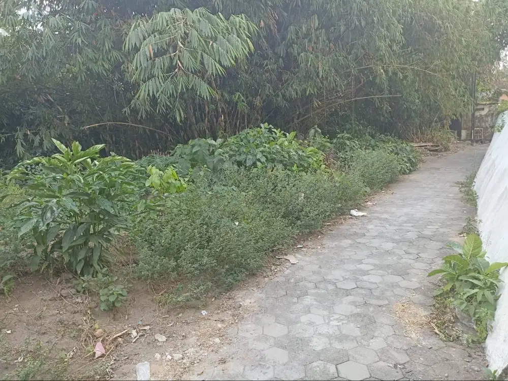 DIJUAL TANAH STRATEGIS 600 M² – MESAN, SINDUADI, MLATI, SLEMAN