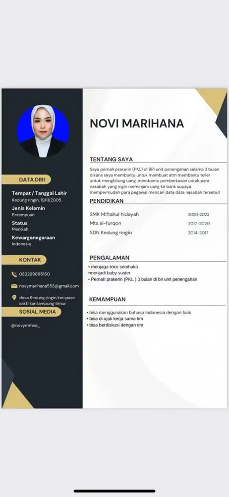 Pengalaman kerja