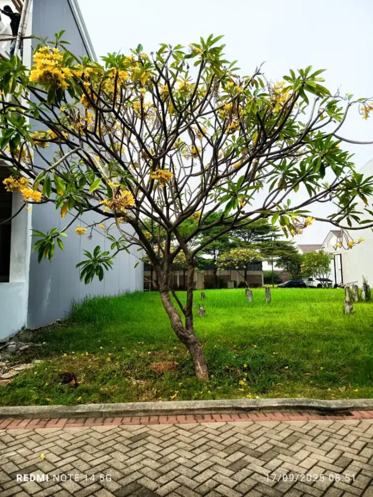 Dijual Tanah Siap Bangun di Cluster Palm Spring JGC Jakarta Timur
