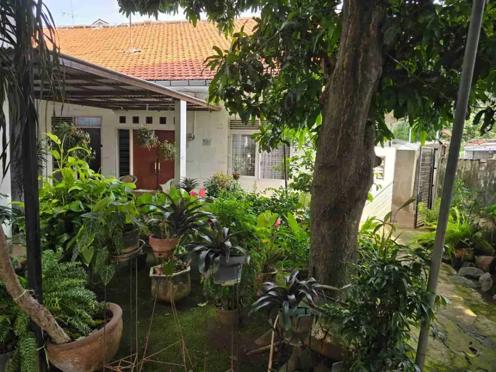 Mampang Prapatan Jual Cepat Bawah Pasaran 523m2 Banyak Peminatnya Strategis Dekat Kuningan Antasari Gatot Subroto Kemang TB Simatupang