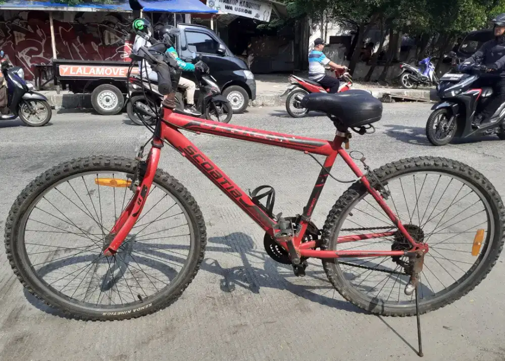 MTB GENIO Scoatia series size 26