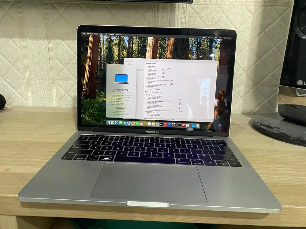 Macbook Pro Retina 2017 8/256GB Mulus