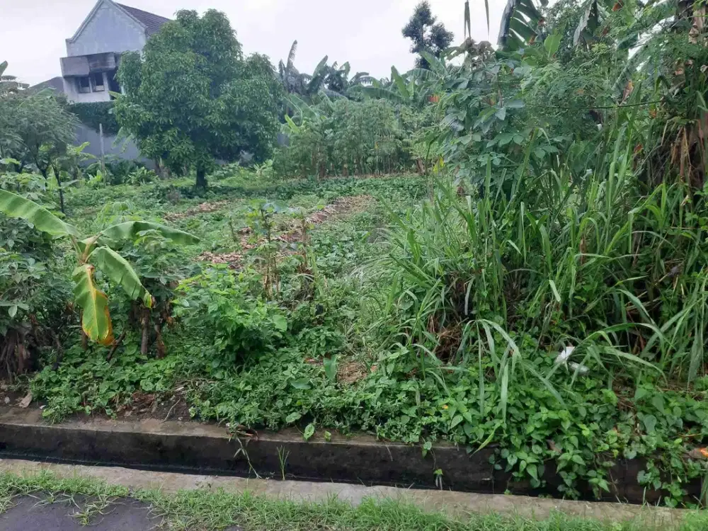 TANAH PONDOK AREN BINTARO