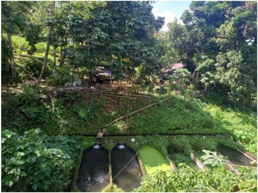 Dijual Tanah Lokasi Strategis pinggir jalan Airmadidi atas dan jalan Tornado-Airmadidi