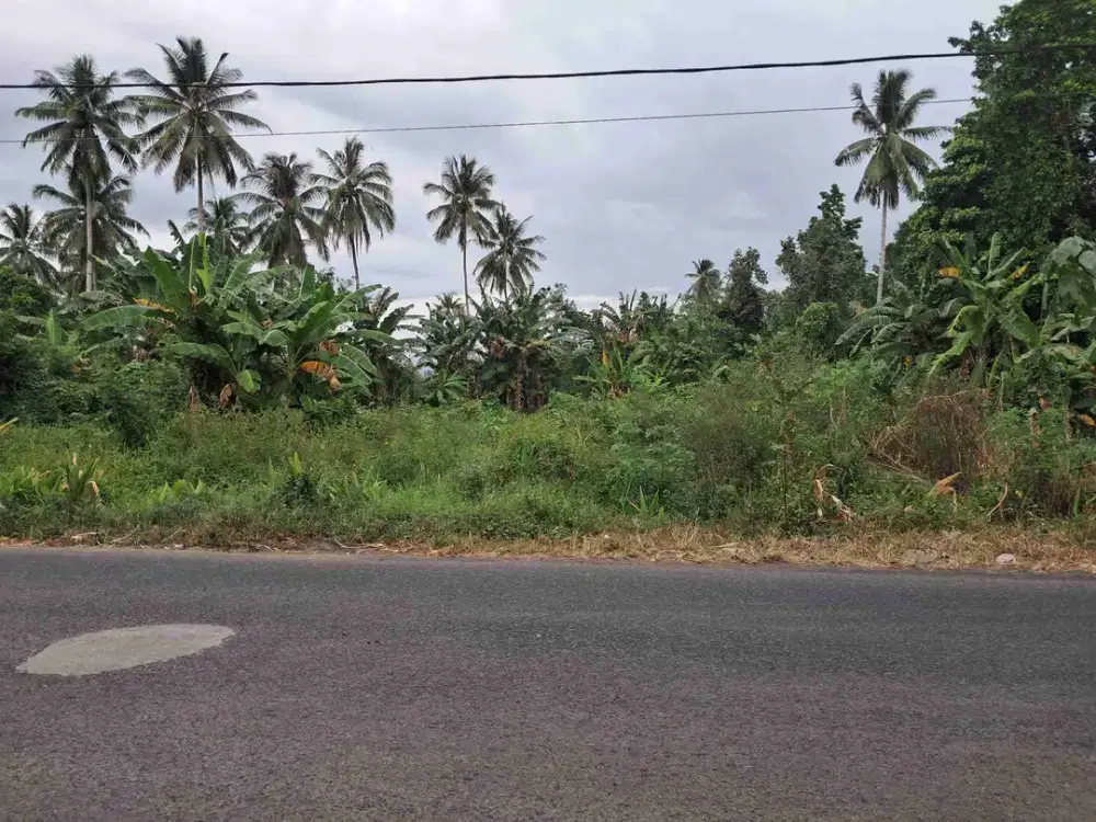 DIJUAL CEPAT TANAH STRATEGIS DAERAH MAPANGET, HARGA MURAH