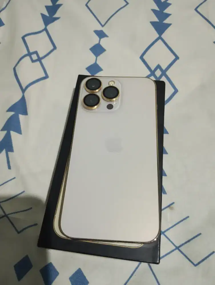 iPhone 13 Pro 512 GB Inter