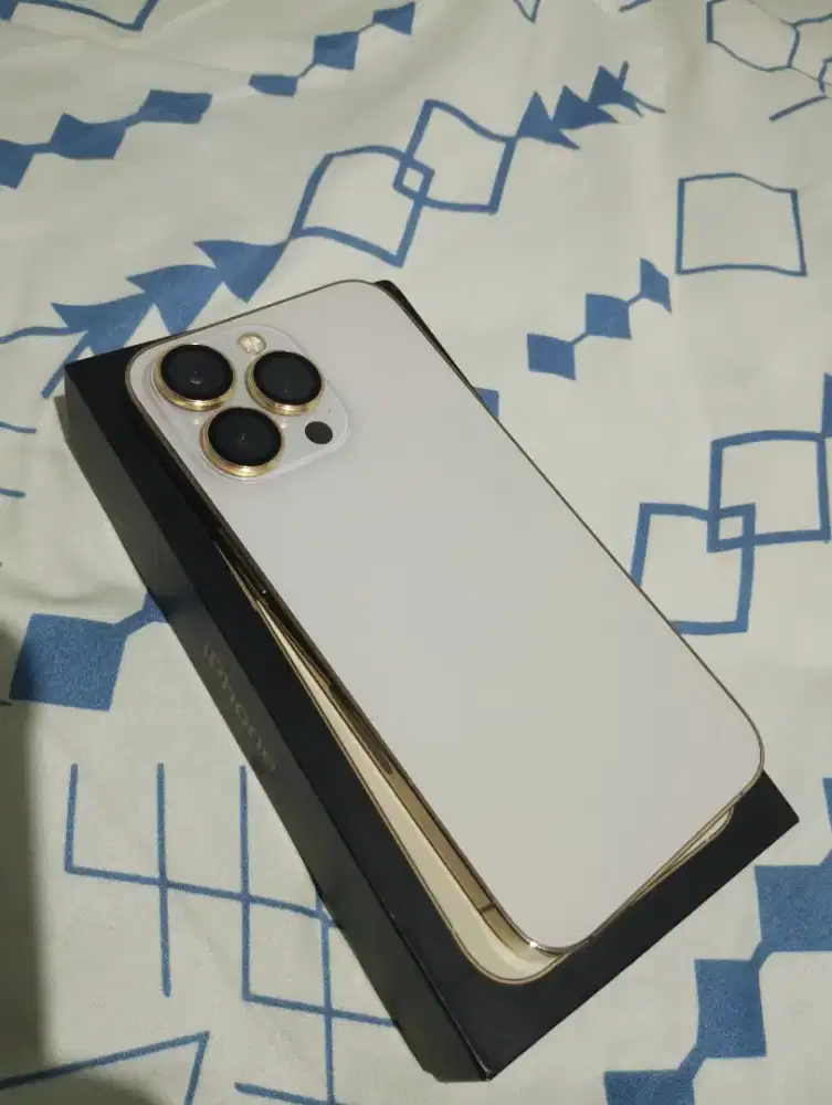 iPhone 13 Pro 512 GB Inter