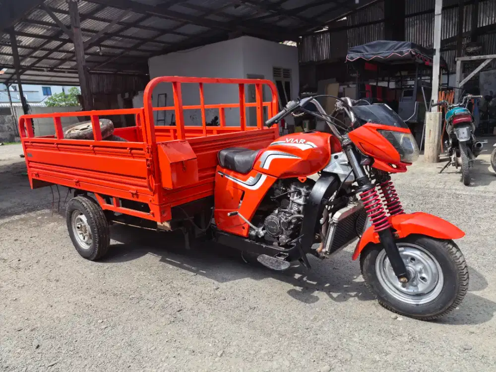 Viar 200 long no minus