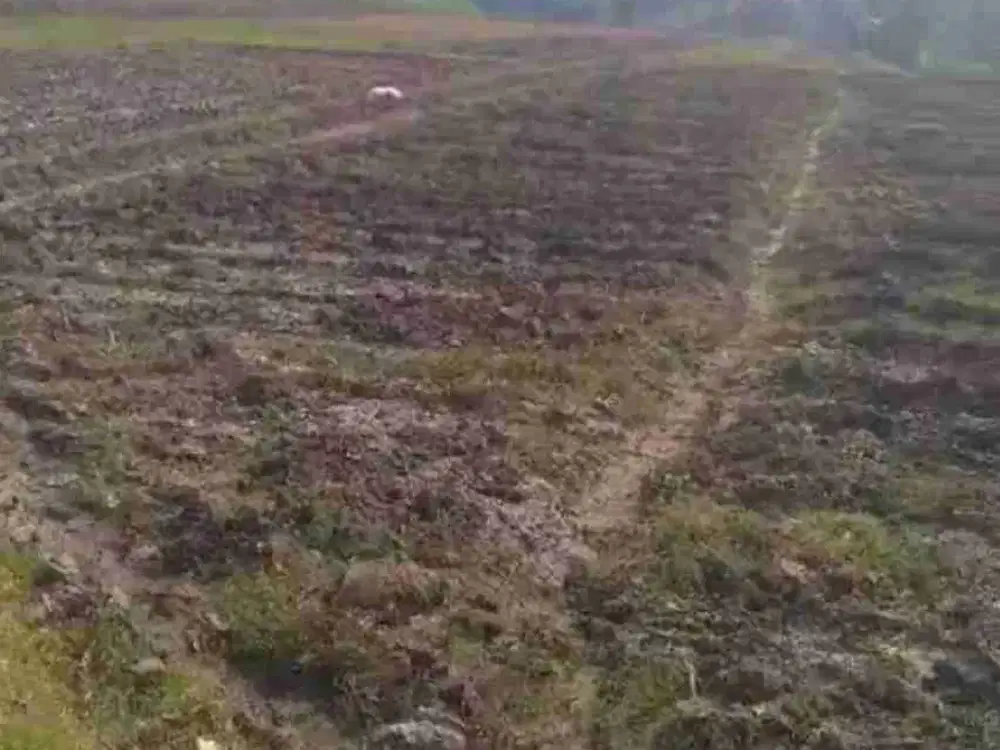 Tanah Desa Klampisan Kecamatan Kandangan Kediri