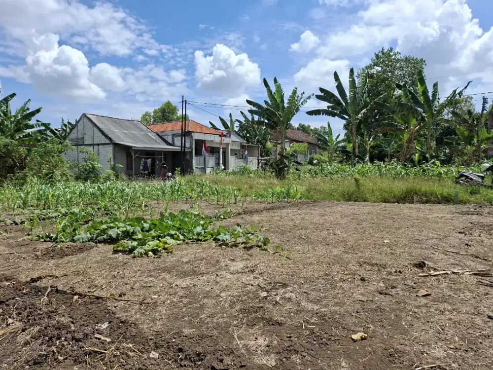 Di jual tanah menganti