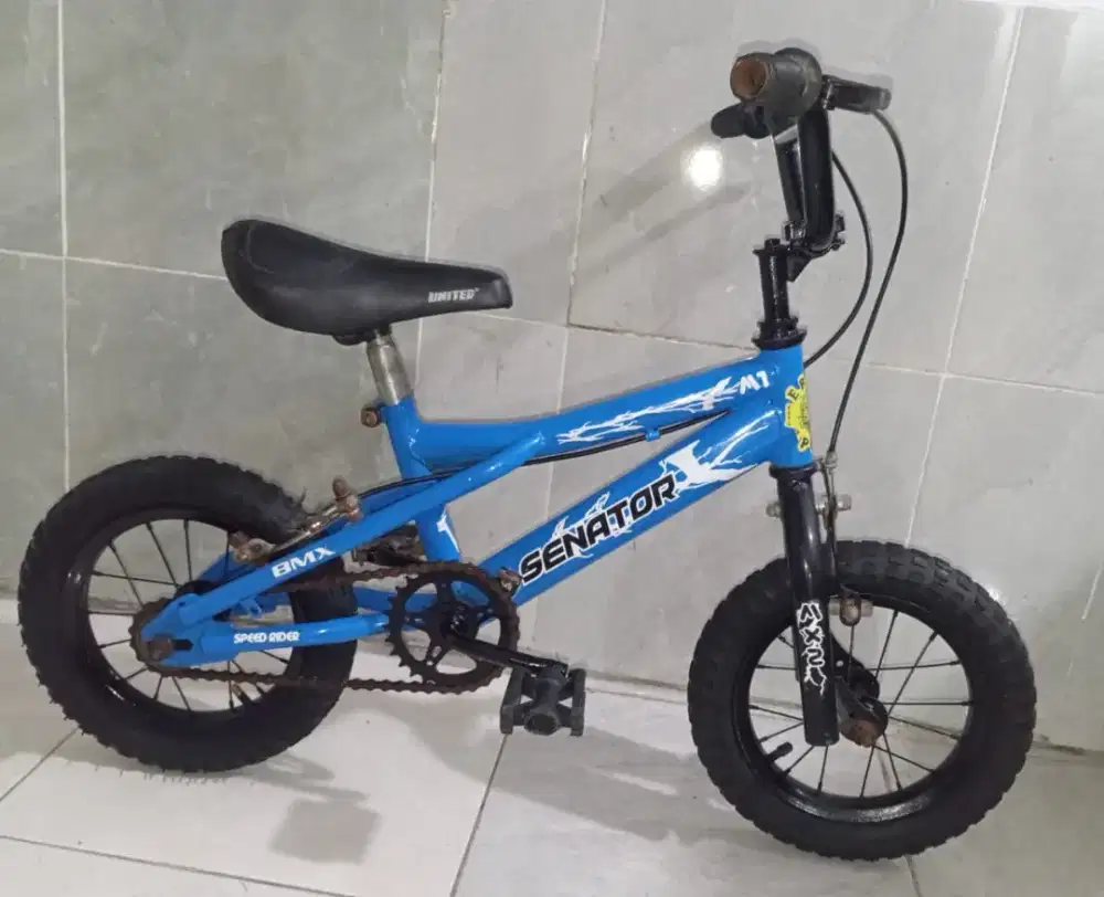 sepeda anak ukuran 12 kondisi normal untuk usia 4/5 tahun