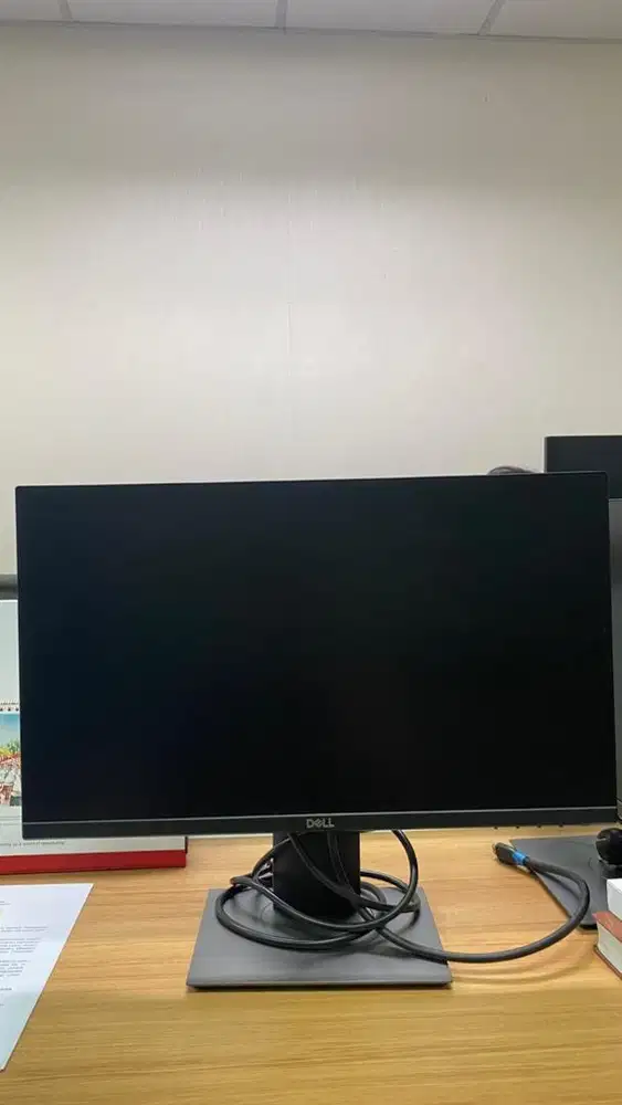 Monitor DELL P2219H