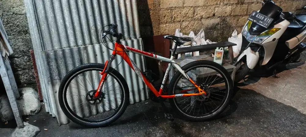 MTB evergren ukuran 20