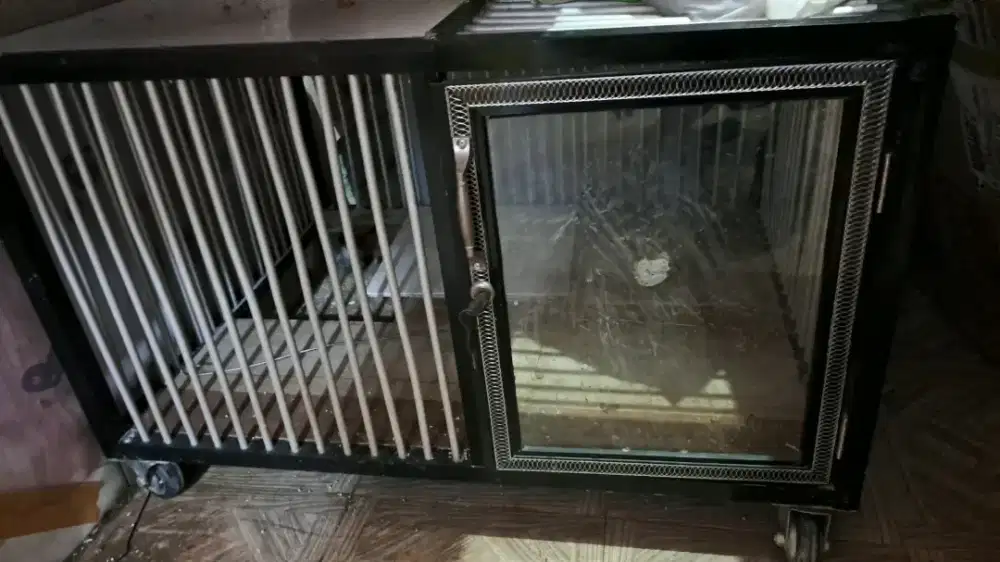 Kandang kucing masih mantep
