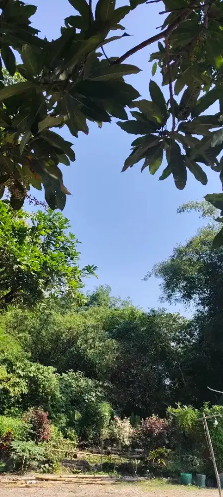 mencari pekerjaan