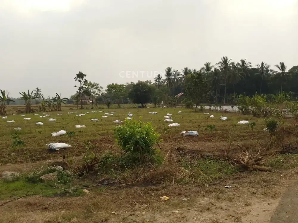 Tanah Jalan Raya Serang Petir Harga Miring