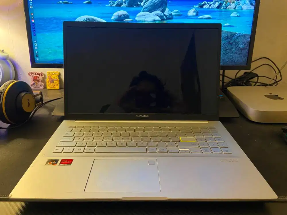 Asus VivoBook X513UA/M513UA - OLED 15.6 inch