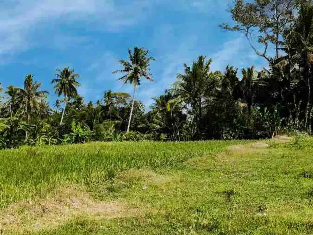 Tanah Murah Samping Mba Pesta Pakem