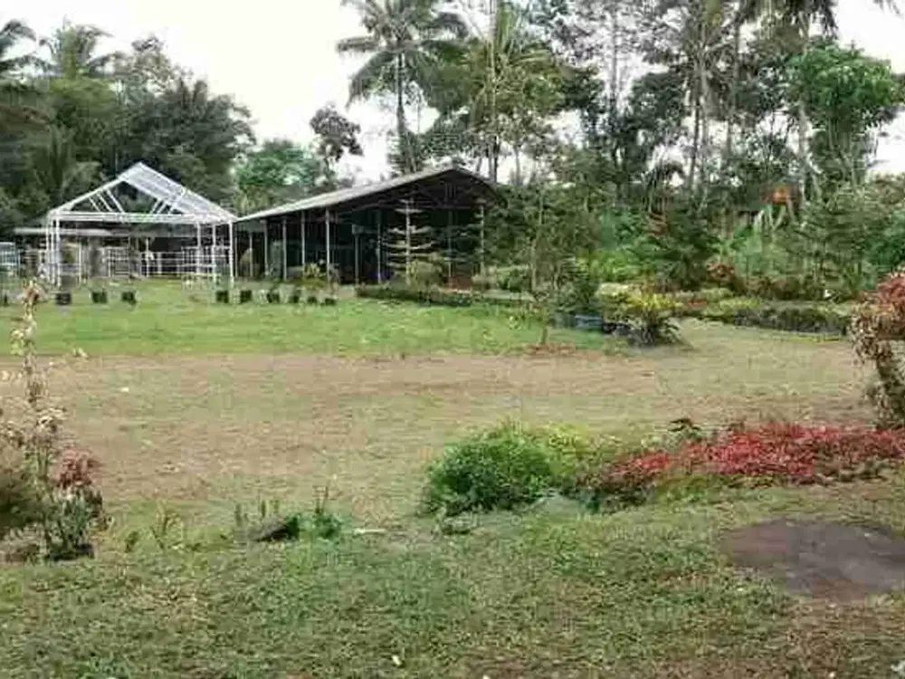Tanah Murah View Gunung Merapi SHM Pekarangan