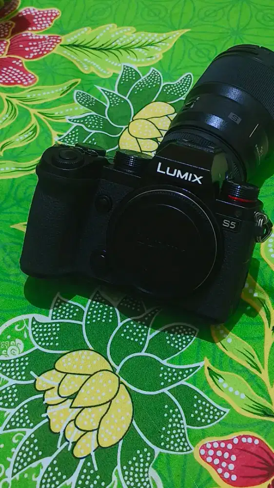Lumix S5 + Lumix S 50mm f/1.8