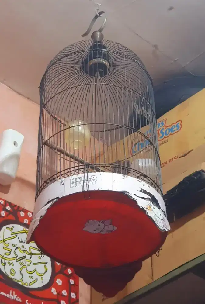 Kandang/Sangkar Burung Besi Bulat Dimensi 30cm Bisa Kirim Indonesia