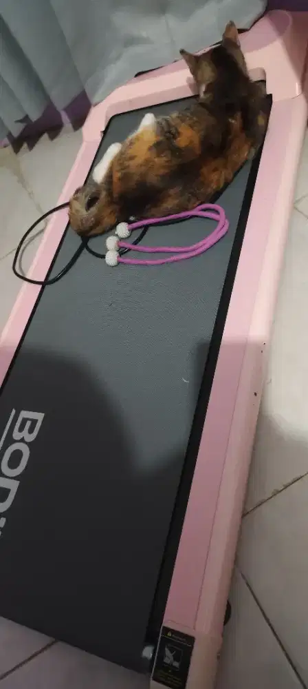 Walking pad bodymax