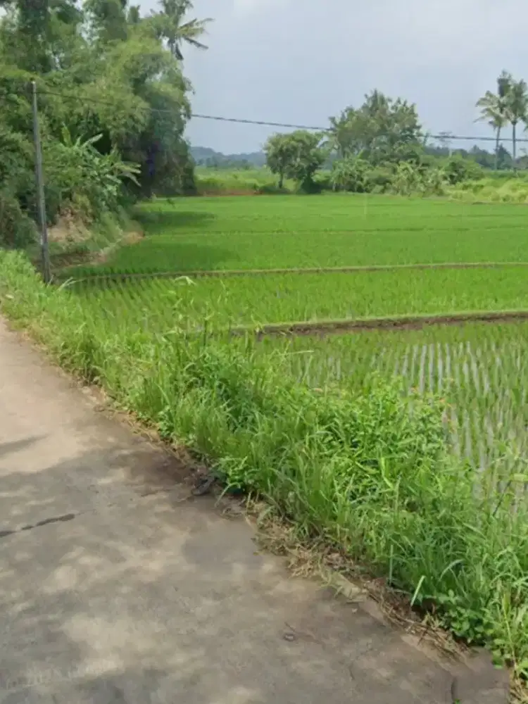 Tanah di jual lokasi di rahong cianjur