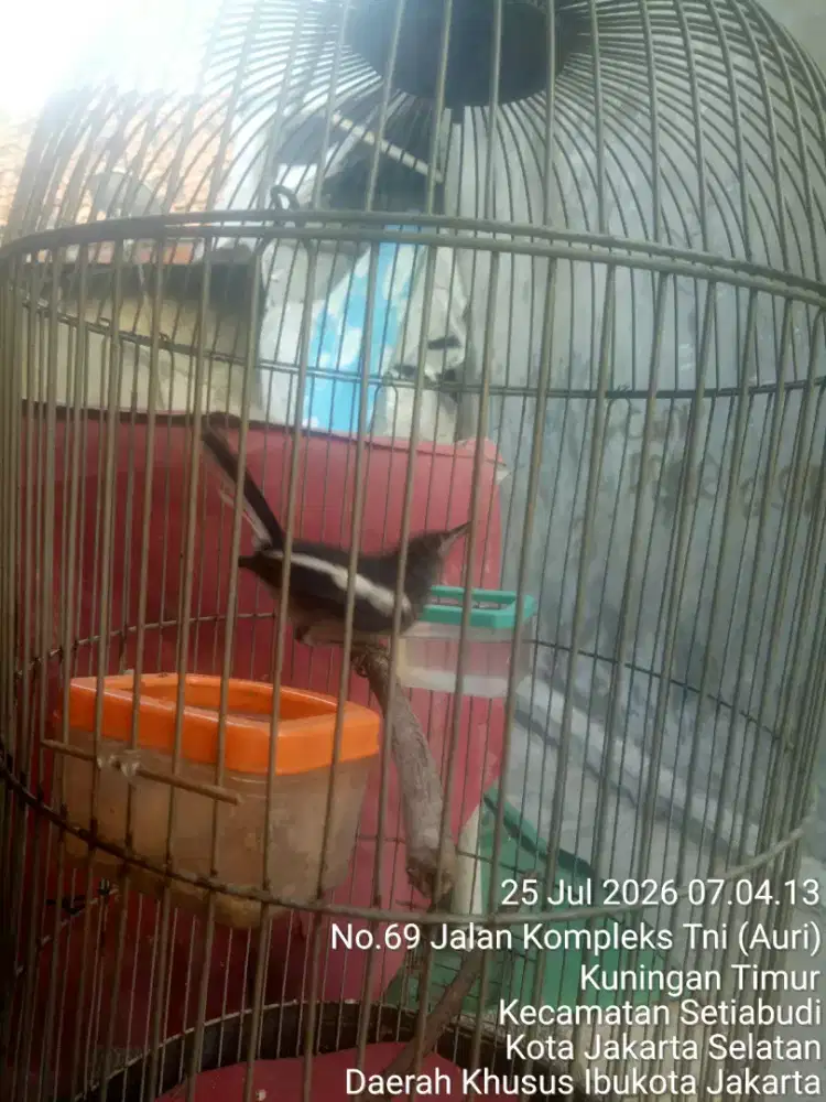JUAL SANTAI SAMBIL NGOPI