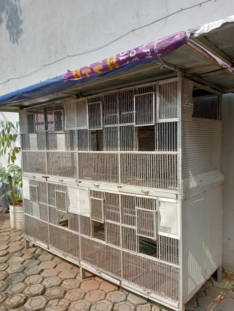 Kandang ternak bisa untuk segala burung