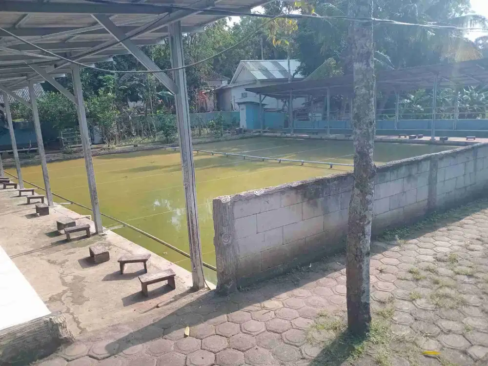 jual pemancingan aktif akses mobil surat sertifikat