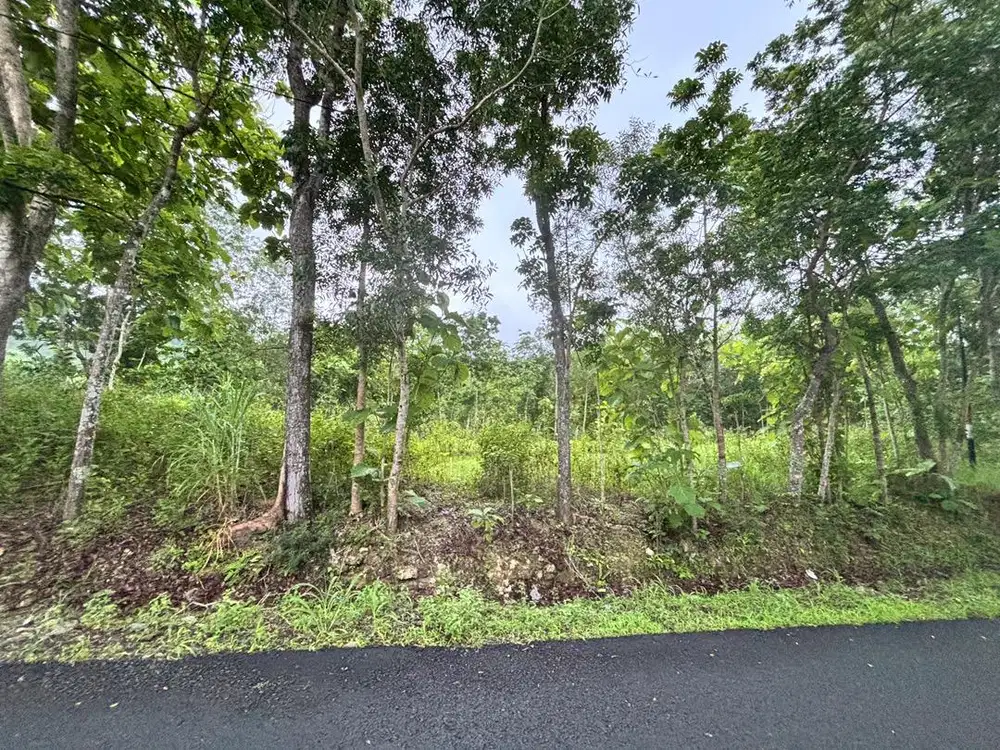 DIJUAL TANAH PEKARANGAN DI GUNUNG KIDUL PASAR SEMIN