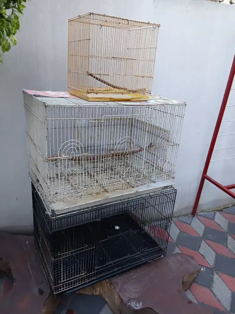 kndang 60x40x40 jik apik monggo 3 biji yg 1 kecil.