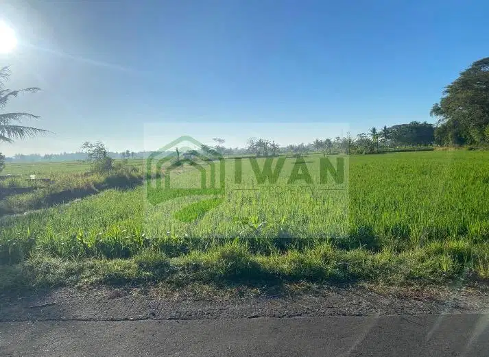 Tanah Milik Sendiri Hadap Jalqn Lebar