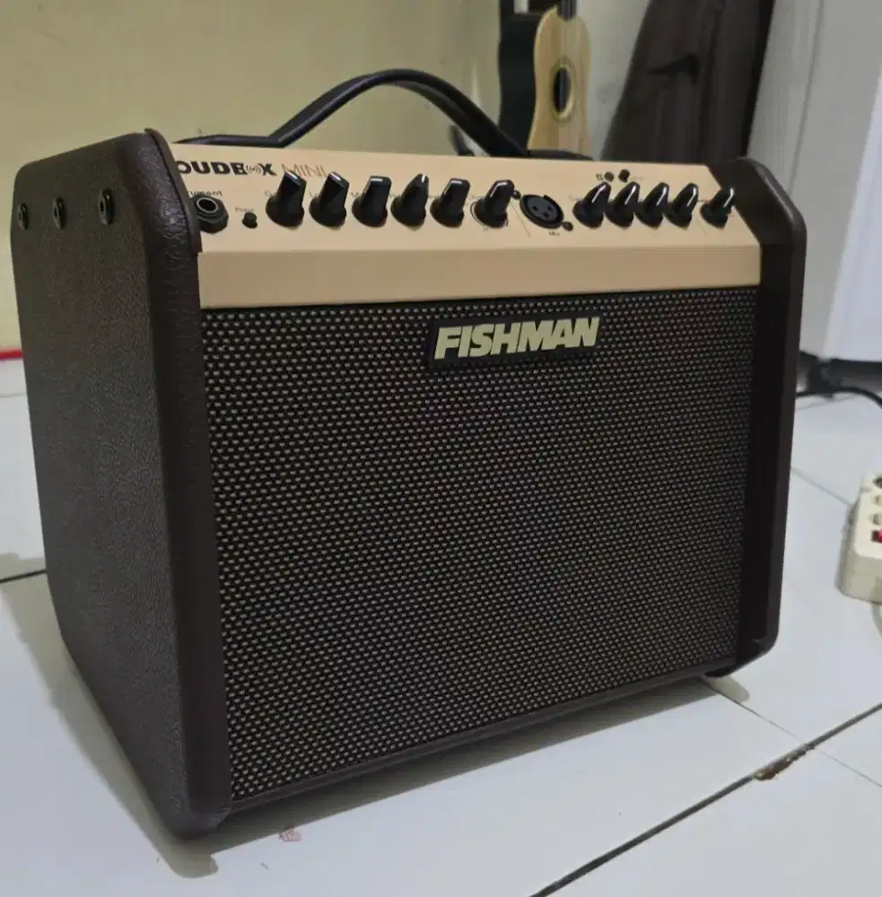 FISHMAN LOUDBOX MINI LIKE NEW PRO-LBX-EX5