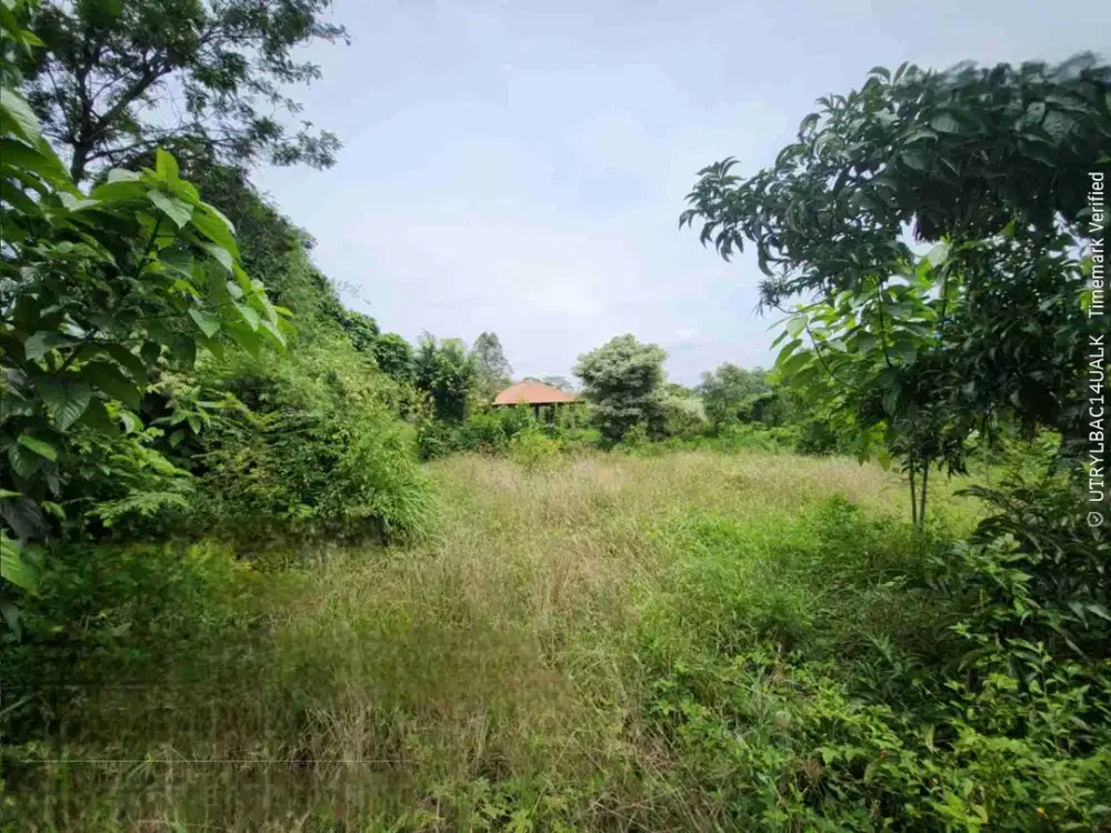 tanah pramuka 15402