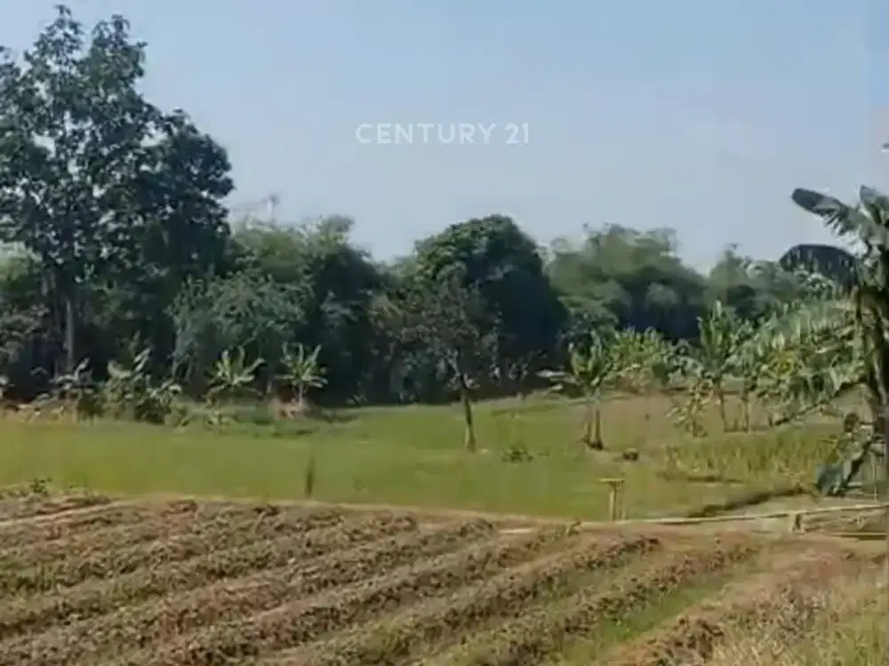 Tanah 34 Ha Strategis Karawang Timur Bekasi