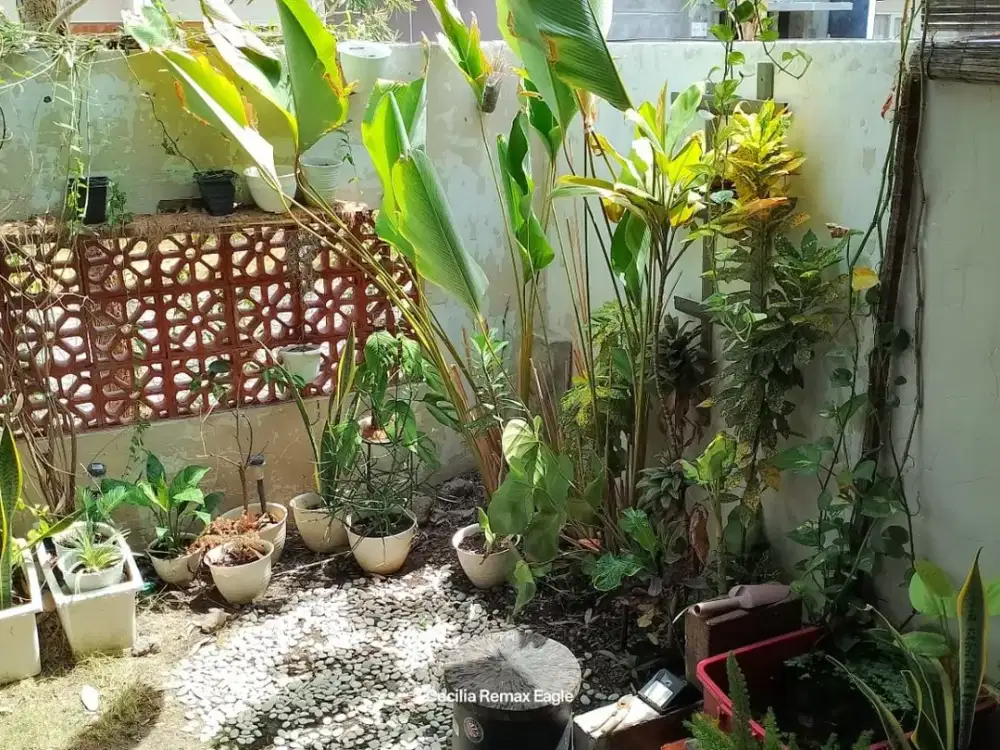 Dijual Rumah Grand Alexandria Buduran Sidoarjo
