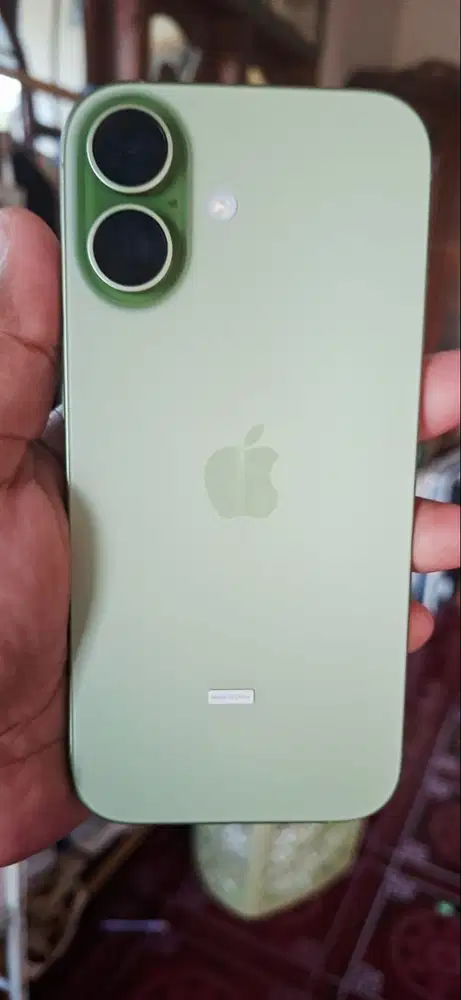 Iphone 17 basic warna sage