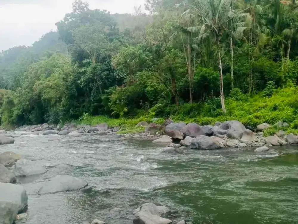 LAND FOR LEASE SIDEMAN 32 ARE  VIEW RIVER