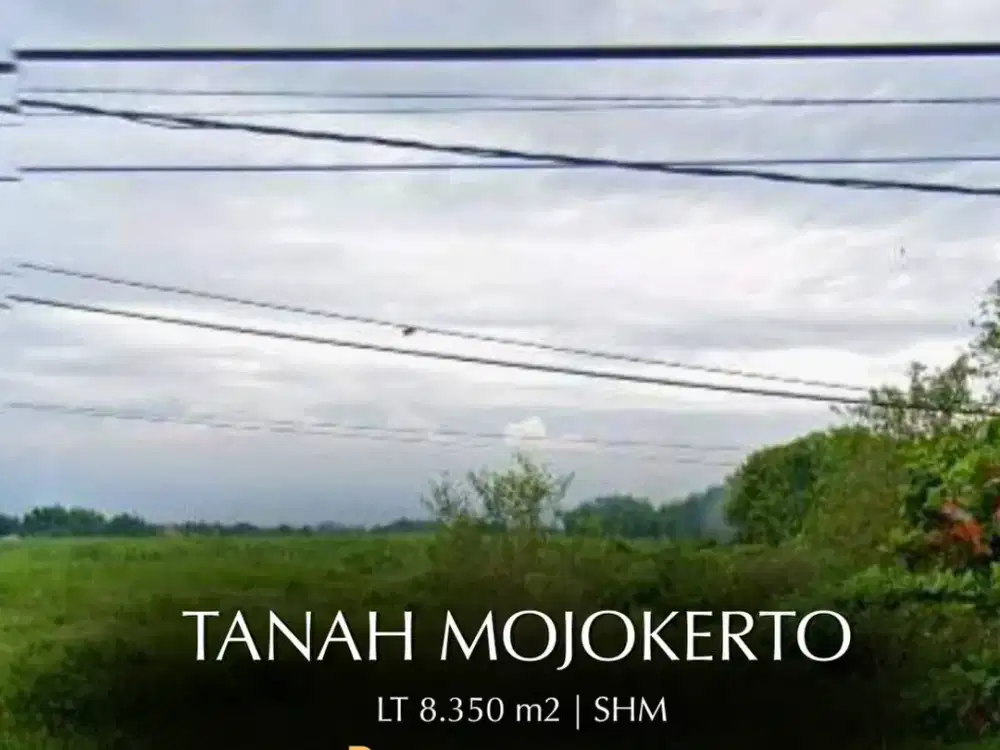 JUAL TANAH di MOJOKERTO 1.5juta/mtr
