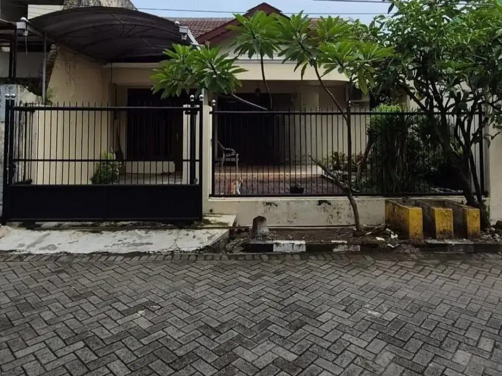 Dijual Cepat Rumah Terawat Siap Huni Darmo Permai Selatan