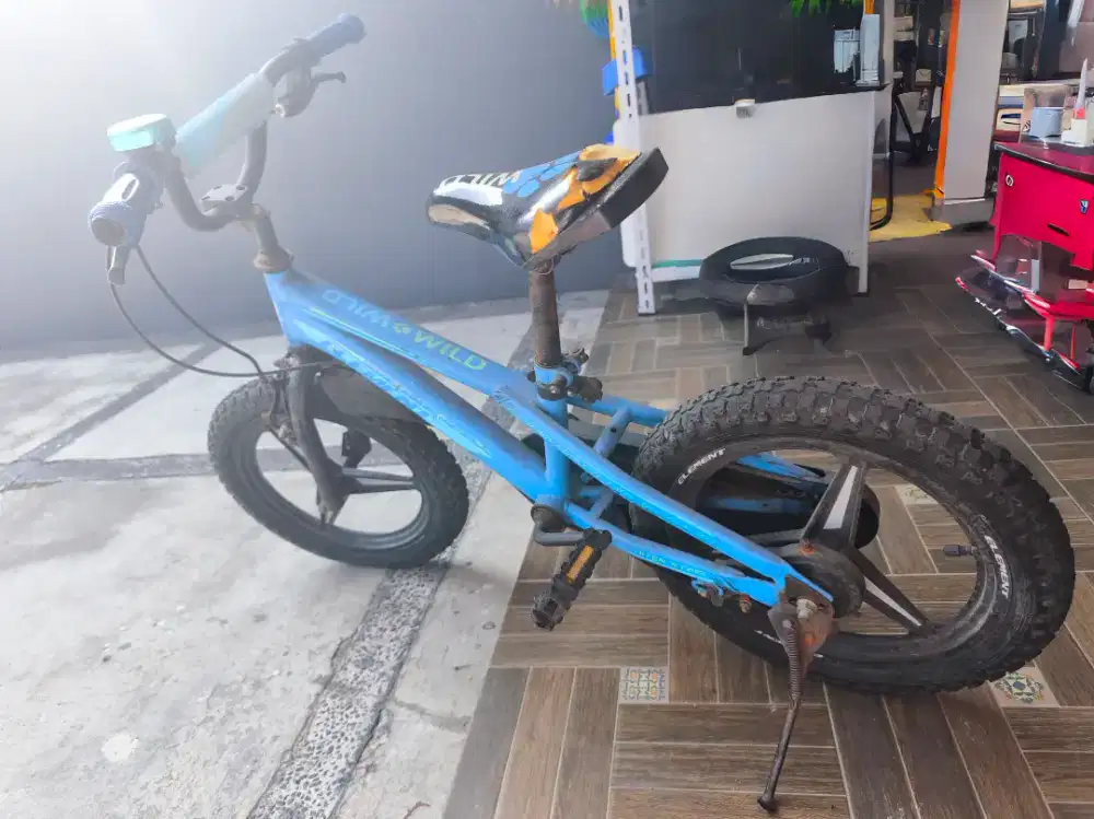 Sepeda Anak Element Ukuran 16 Inch Bekas – Kondisi Lengkap, Siap Pakai
