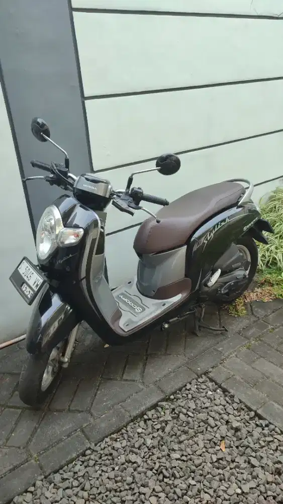 Honda Scoopy Stylish 2019