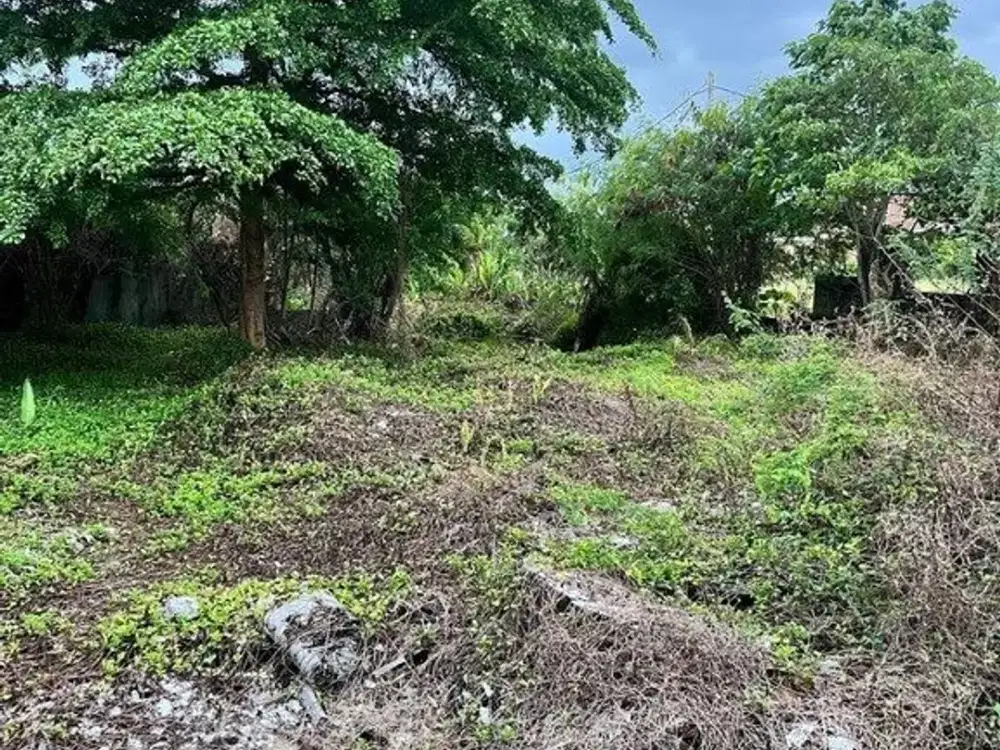 Premium 7.58 Are Freehold Rice Field View Land For Sale In Berawa
