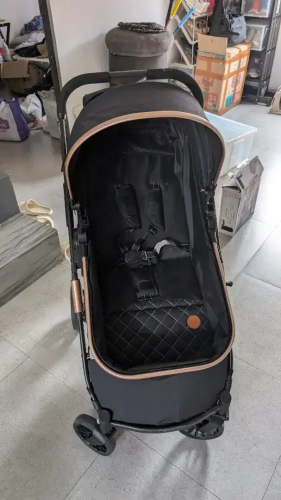 Stroller Babydoes Pronto R+