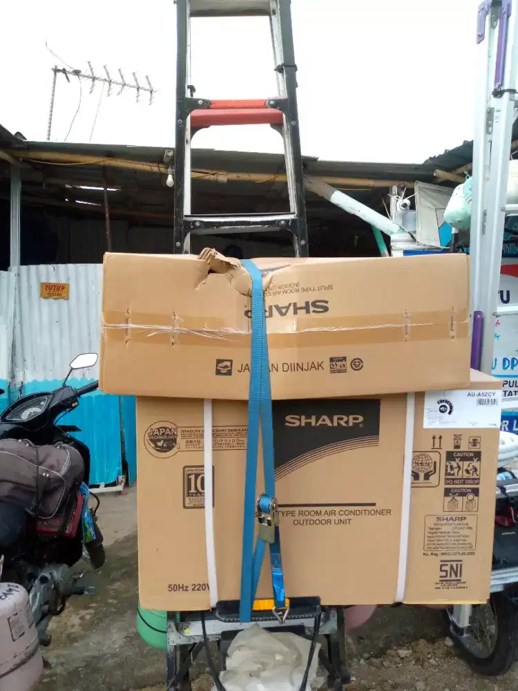 AC Sharp 1pk new
